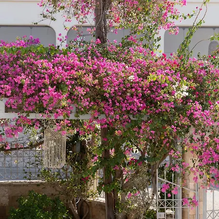 Pounedes Luxury Pefki (Rhodes)