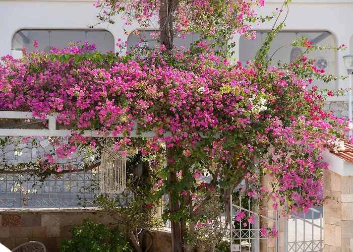 Pounedes Luxury Pefki